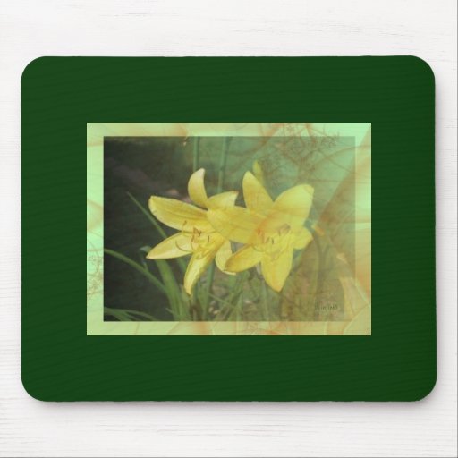 Lirio de día amarillo Mousepad 2 Tapetes De Raton