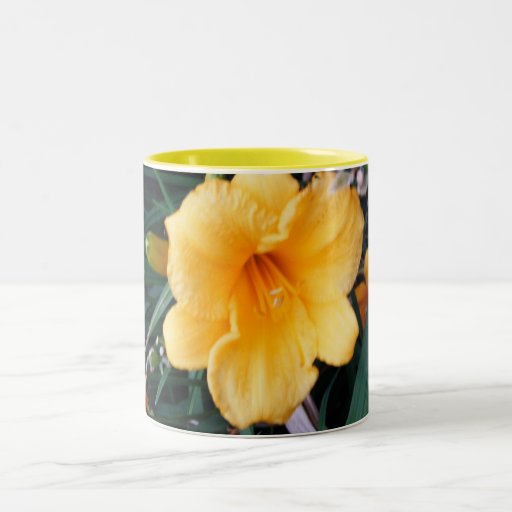 Lirio de día amarillo taza