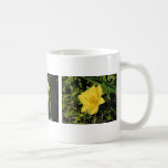 Lirio de día amarillo tazas