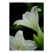 Lirio de pascua • Tarjeta de condolencia