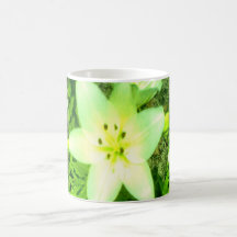 Lirio de pascua tazas de café