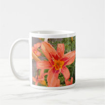 lirio del starburst tazas de café