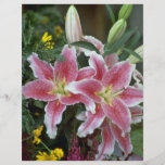 Lirio del Stargazer Tarjetones