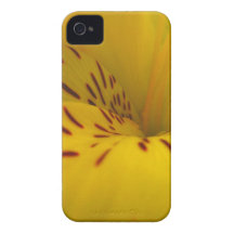 Lirio iPhone 4 Case-Mate Cárcasa