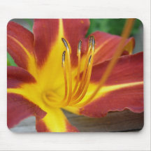 lirio muy largo Mousepad Alfombrilla De Raton