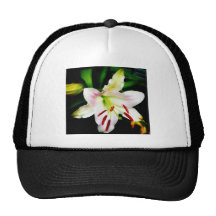 Lirio oriental gorros bordados