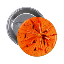 Lirio Pin