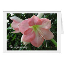 Lirio rosado bonito tarjetas