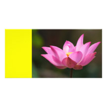Lirio rosado en amarillo tarjetas personales