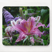 Lirio rosado en el jardín de flores alfombrilla de ratones