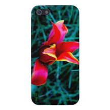 Lirio salvaje iPhone 5 fundas
