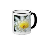 Lirio Tazas De Café