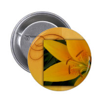 Lirio tigrado amarillo de oro para la caída botones