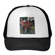 Lirio tigrado parque CO art1z de 2002 inviernos Gorras De Camionero