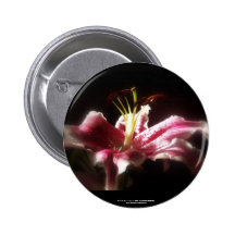 lirios #16 del stargazer pins