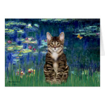 Lirios 5 - Gato de tigre del Tabby 30 Tarjeton