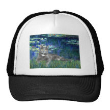 Lirios 5 - Gato gris Gorra