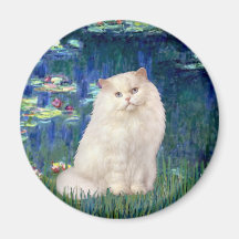 Lirios 5 - Gato persa blanco Imanes