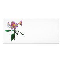 Lirios asiáticos rosados preciosos lonas personalizadas
