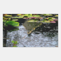 LIRIOS DE AGUA PEGATINAS  