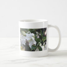 Lirios del Blanca de las casas Tazas De Café