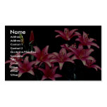 Lirios hermosos de la primavera (Creta) Tarjeta De Negocio