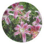 Lirios rosados del Stargazer Platos Para Fiestas