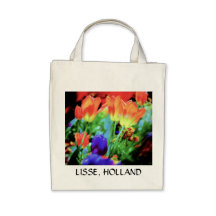 LISSE, LA BOLSA DE ASAS DEL ULTRAMARINOS DE HOLAND