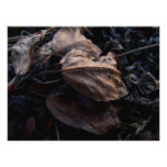 Litera crujiente de la hoja cojinete