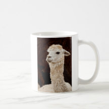 Llama blanca tazas de café
