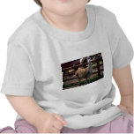 Llama Camiseta