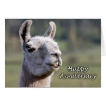Llama feliz del aniversario del aniversario |Happy Felicitaciones
