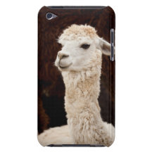 Llama iPod Touch Funda