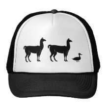Llama, llama, pato gorros  