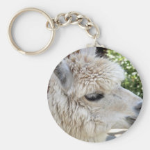llama llavero