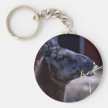 Llama Llavero Personalizado