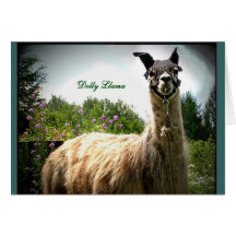 Llama Notecards del carro Felicitación
