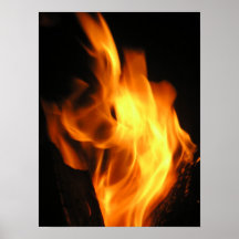 Llama Poster