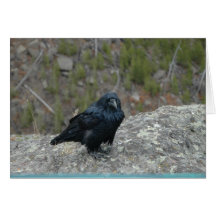 Llamada del pájaro tarjeta