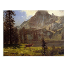 Llamada del salvaje - Albert Bierstadt Postales