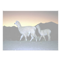 Llamas en la puesta del sol invitaciones personalizada