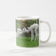 Llamas mamá e hijo - Perú Tazas De Café