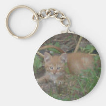 Llavero anaranjado del gatito