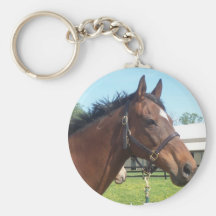 Llavero árabe alerta del caballo