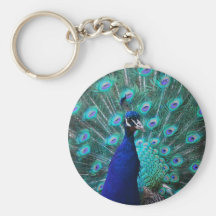 Llavero bonito del pavo real