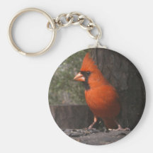 Llavero cardinal rojo