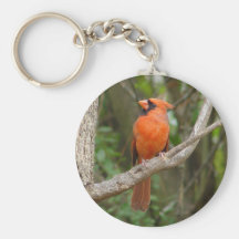 Llavero cardinal septentrional del pájaro