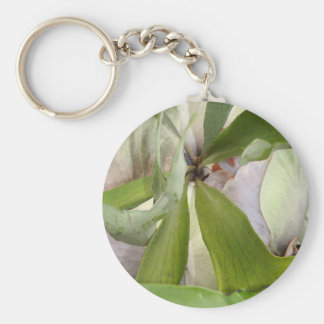 Llavero de Bromie del primer