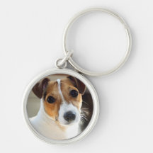 Llavero de Jack Russell