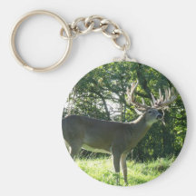 Llavero de la fauna